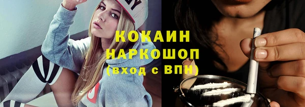 тгк Инта