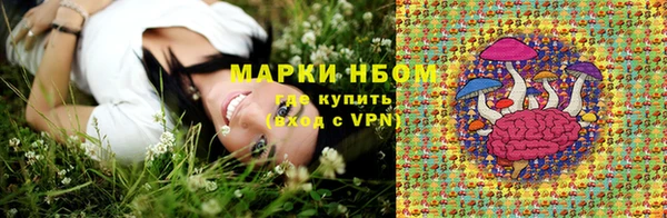 стафф Иннополис