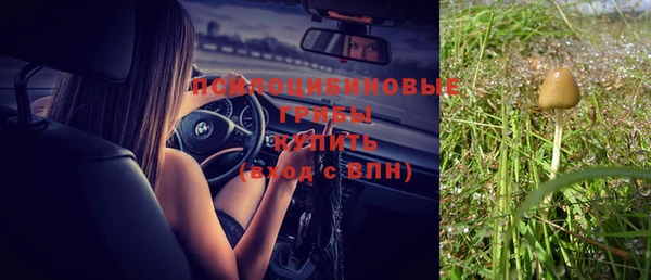 стафф Иннополис