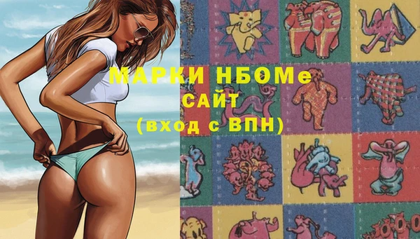 стафф Иннополис