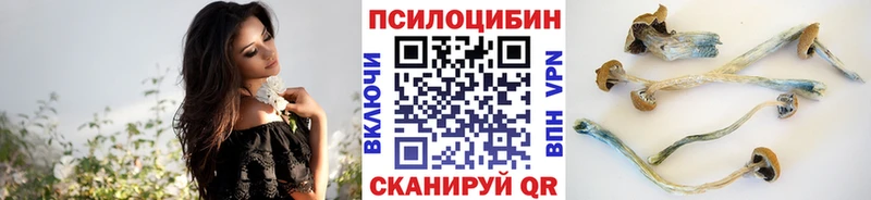 Купить где  Зея  Галлюциногенные грибы Magic Shrooms 
