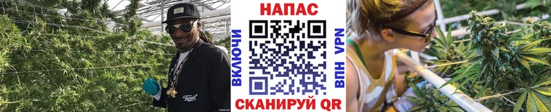 Купить где  Зея  Бошки марихуана конопля 